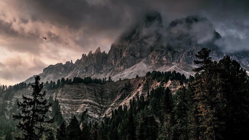Wilderness Treks